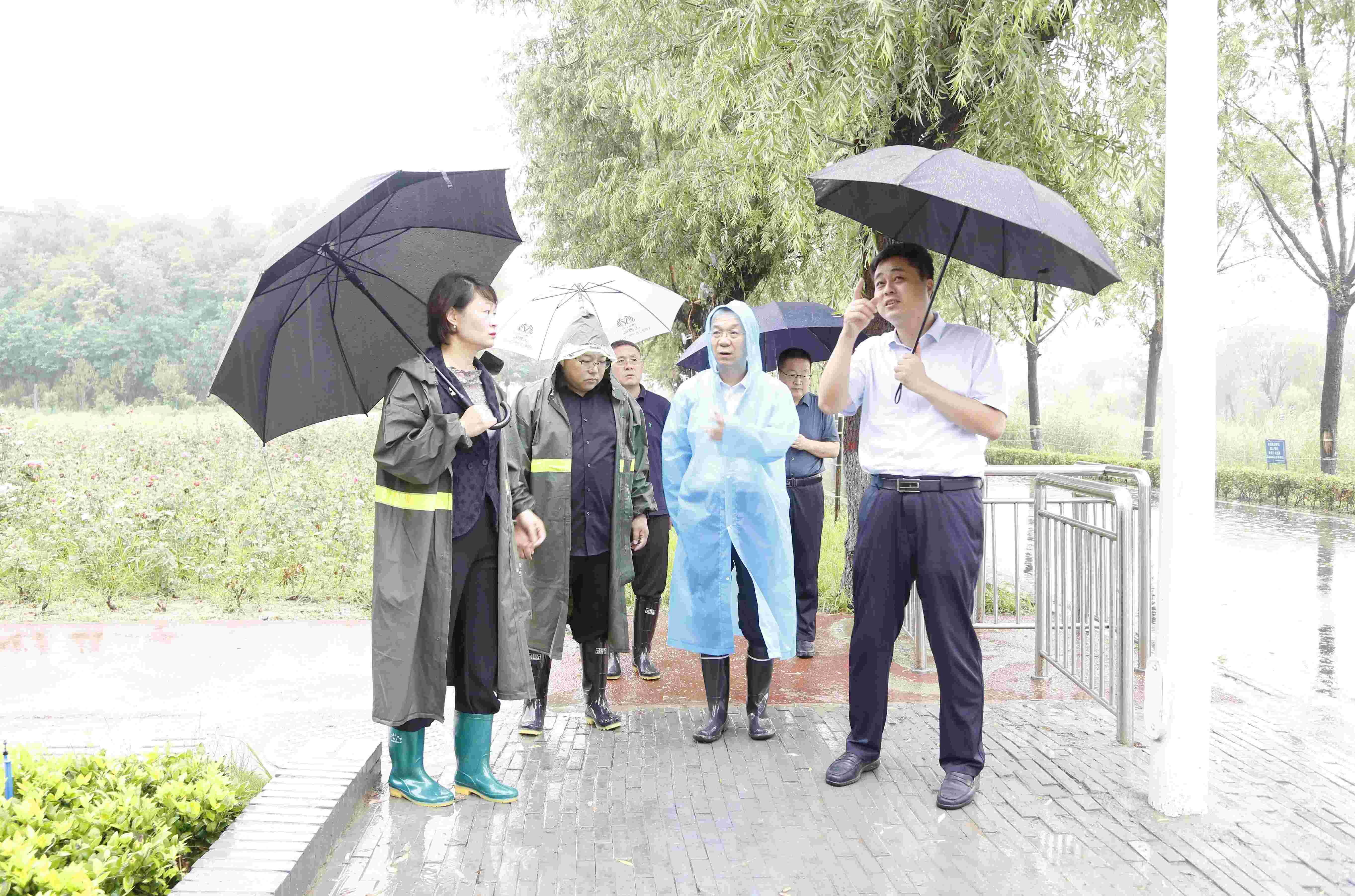 1.jpg MG游戏官网