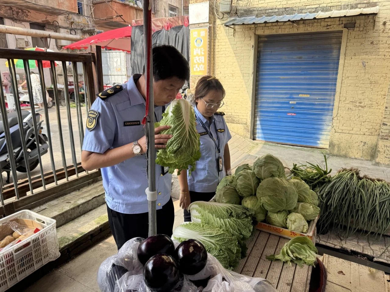 MG游戏官网